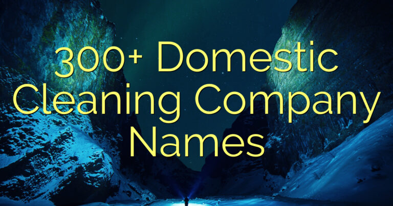 300+ Domestic Cleaning Company Names