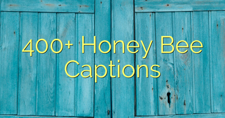 400+ Honey Bee Captions