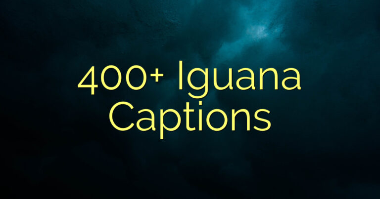 400+ Iguana Captions