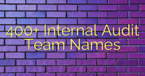 400+ Internal Audit Team Names