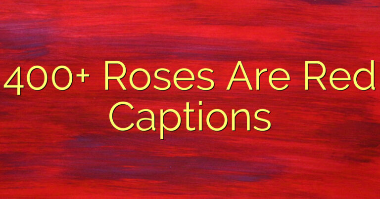 400+ Roses Are Red Captions
