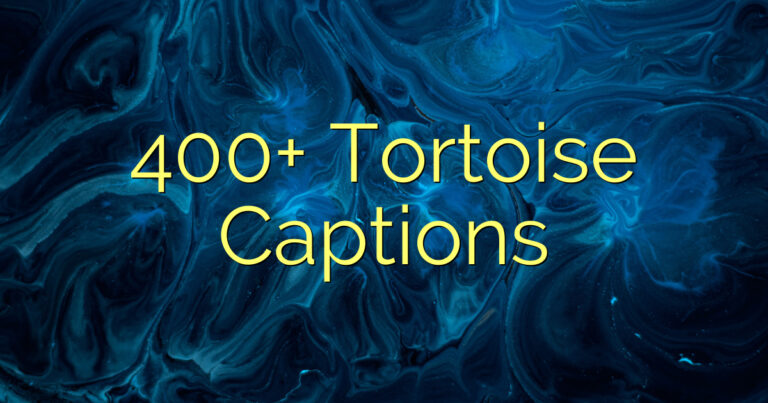 400+ Tortoise Captions