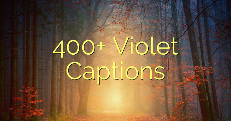 400+ Violet Captions