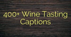 400+ Wine Tasting Captions