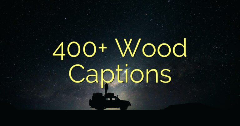 400+ Wood Captions