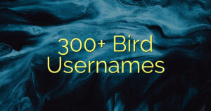 300+ Bird Usernames