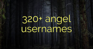 320+ angel usernames