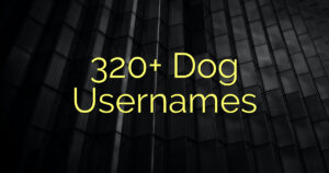 320+ Dog Usernames