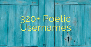 320+ Poetic Usernames