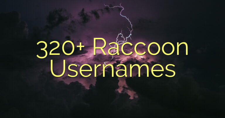 320+ Raccoon Usernames