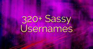 320+ Sassy Usernames