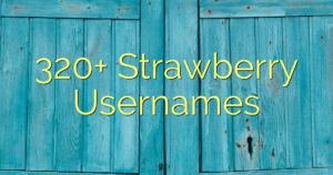 320+ Strawberry Usernames